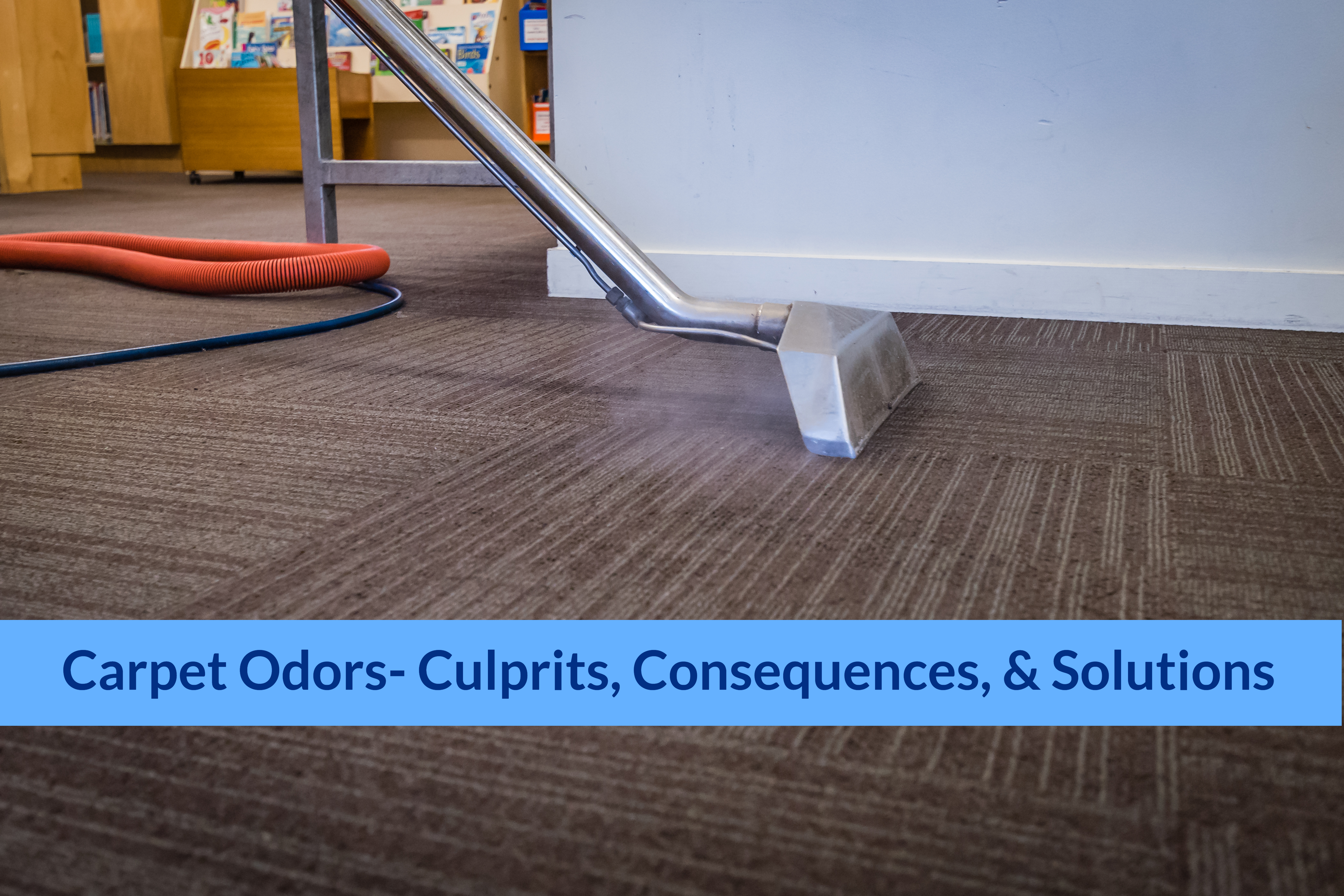 Carpet OdorsCulprits, Consequences & Solutions